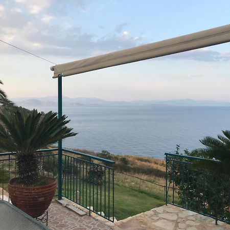 Villa Castle Sea View Параліо-Астрос Екстер'єр фото