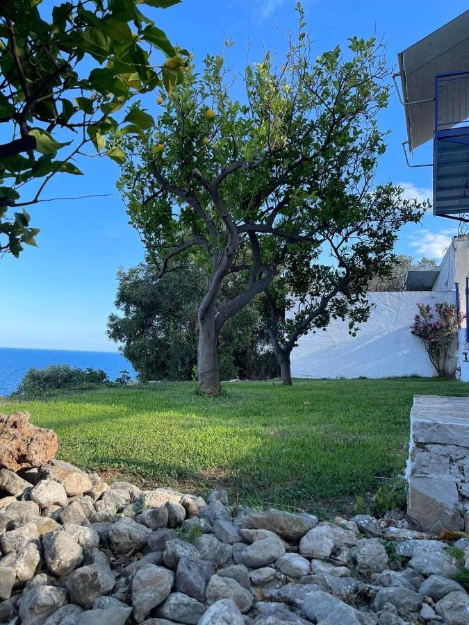 Villa Castle Sea View Параліо-Астрос Екстер'єр фото
