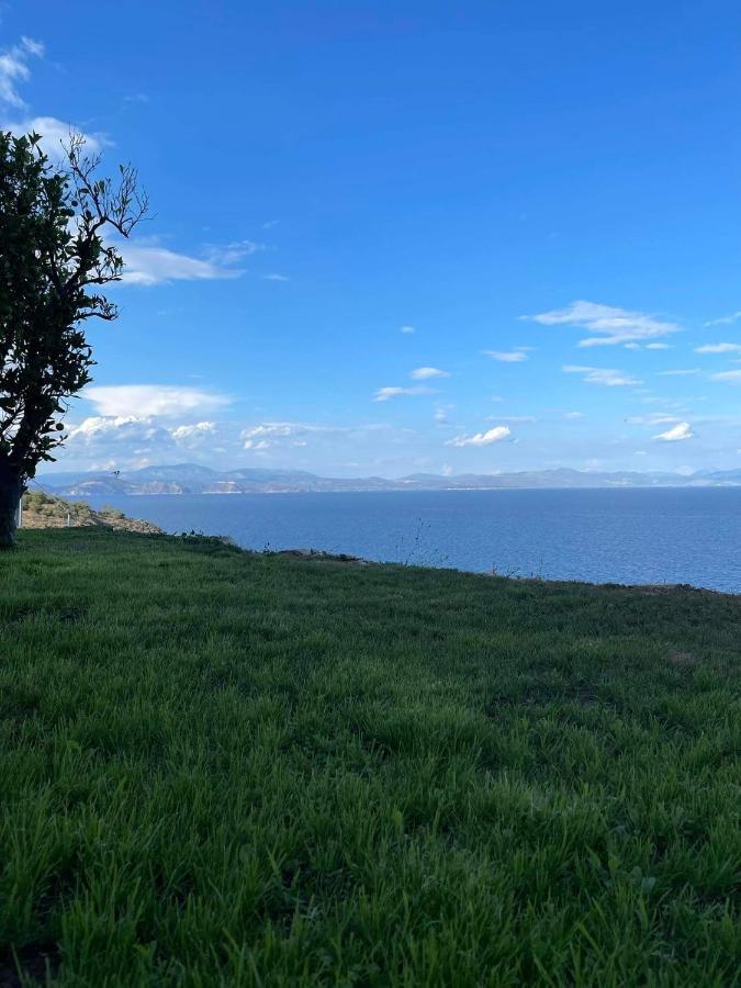 Villa Castle Sea View Параліо-Астрос Екстер'єр фото